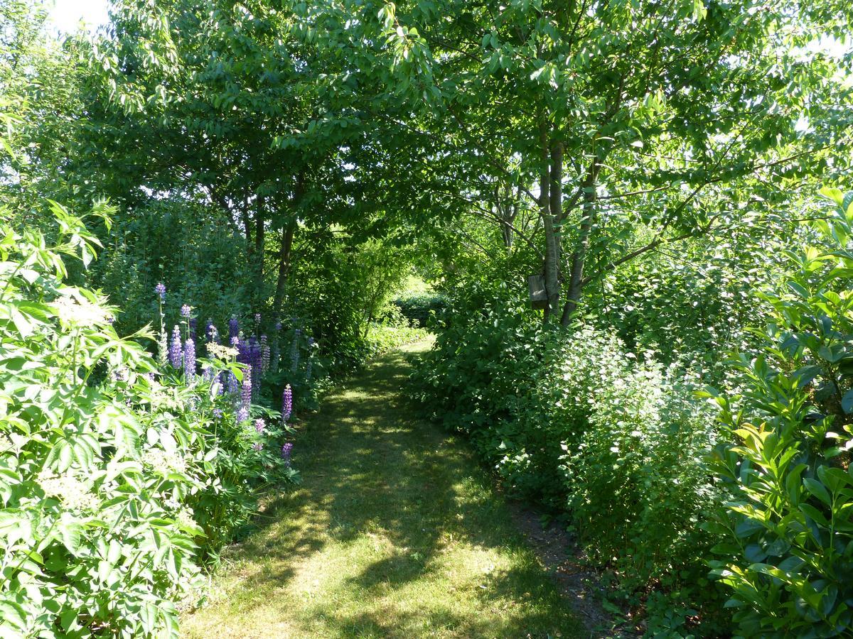 Sysselbjerg Bed & Breakfast Bed and Breakfast Almind Exteriör bild